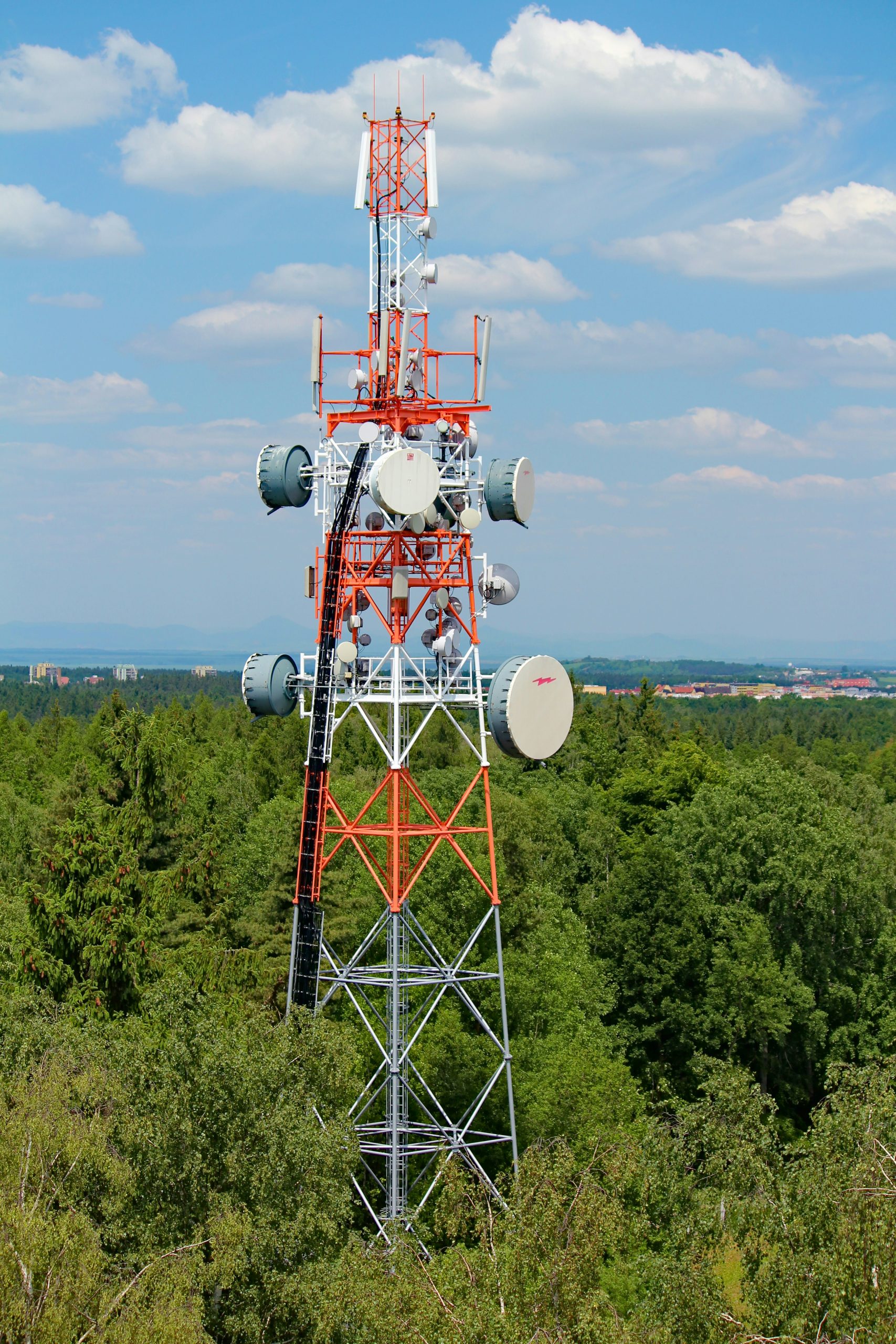 dusan-veverkolog-8q-g0uY6jU8-unsplash